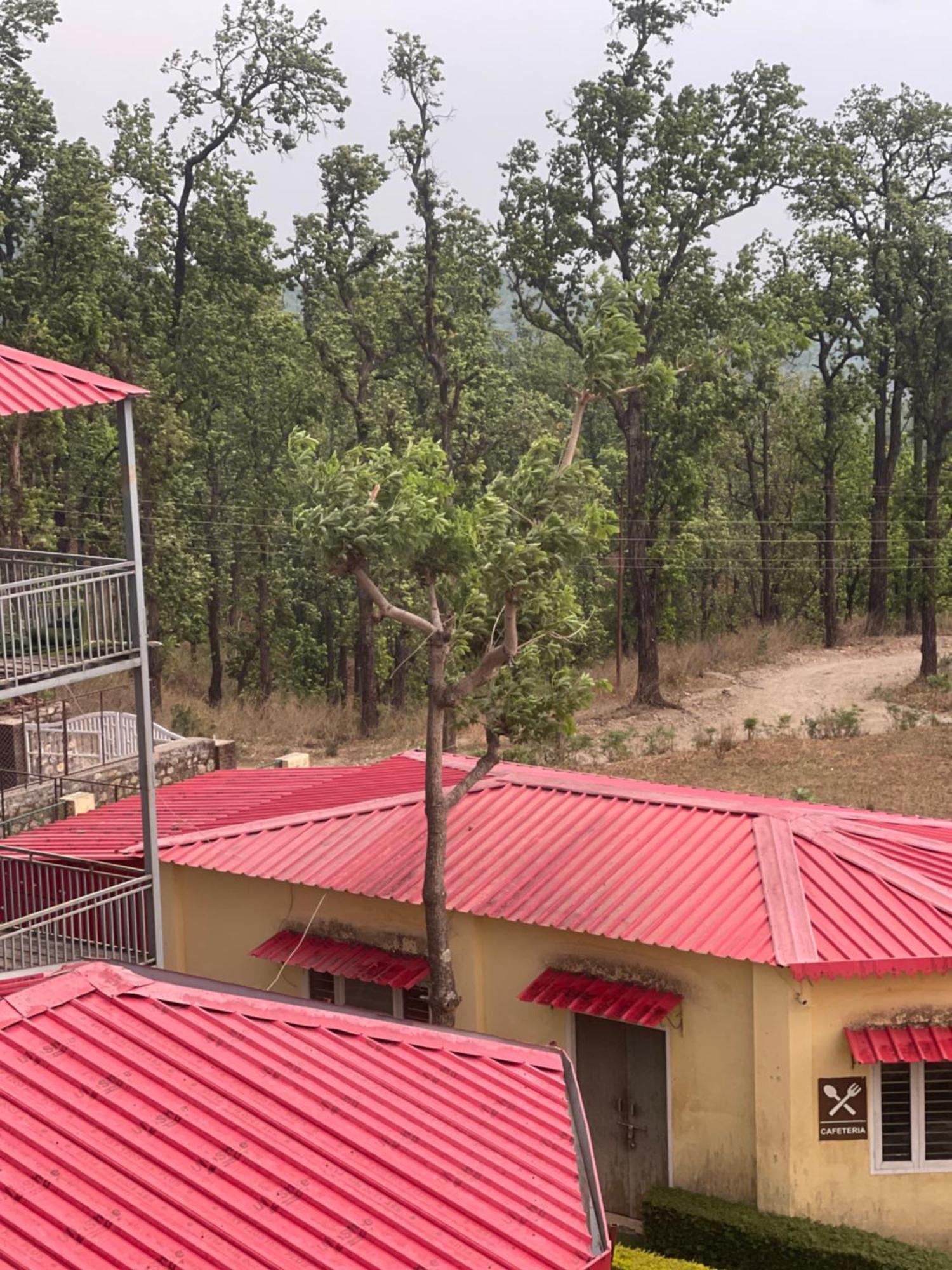 Hidden Nature Resort Dehradun Exterior photo